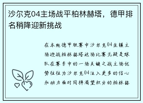 沙尔克04主场战平柏林赫塔，德甲排名稍降迎新挑战