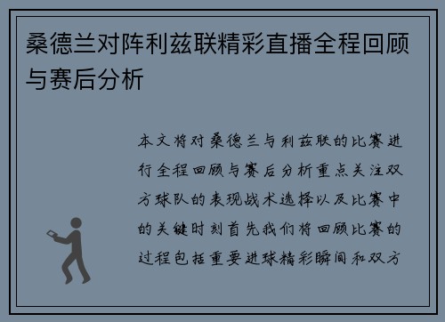 桑德兰对阵利兹联精彩直播全程回顾与赛后分析
