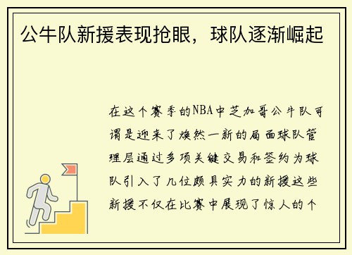 公牛队新援表现抢眼，球队逐渐崛起